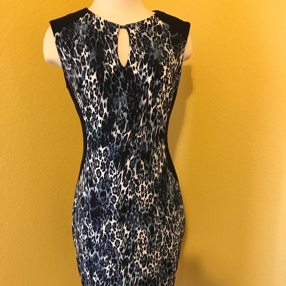 Beautiful Cache dress